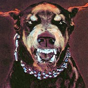 maximillian
