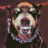 maximillian